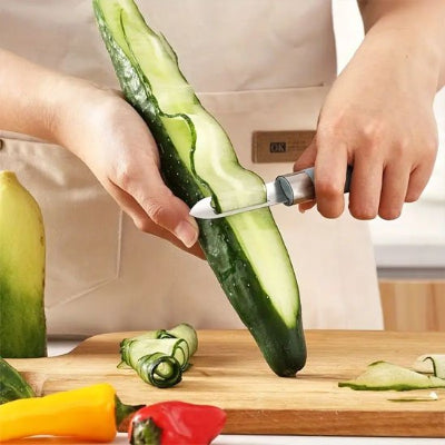 Econome  manche ergonomique en plastique